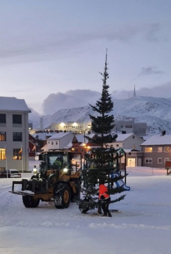 !Teknisk sektor, Nordkapp kommune, har satt opp juletreet p rdhusplassen. (Foto: Privat) 